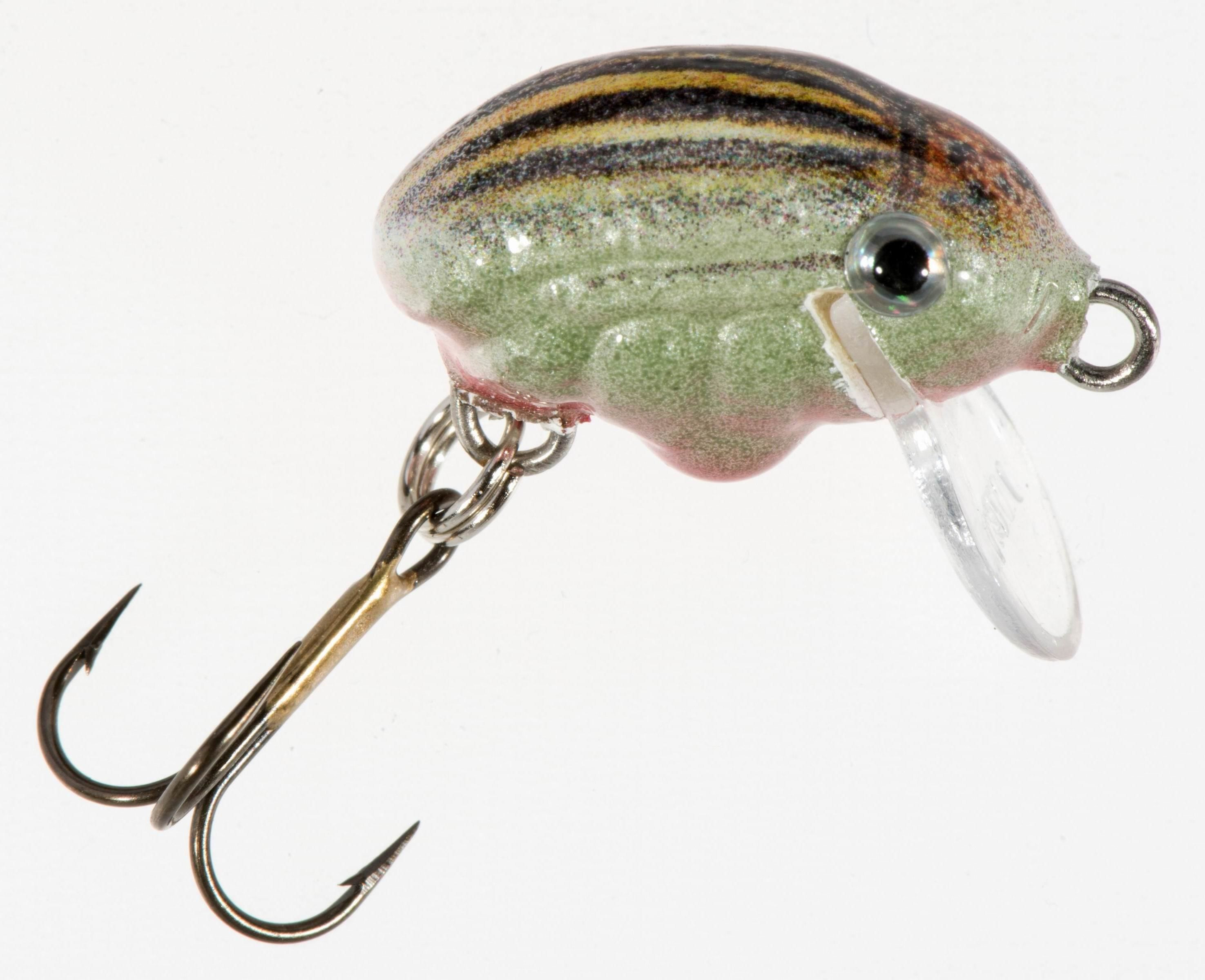 Woblery Jaxon HS Żuk Smużak