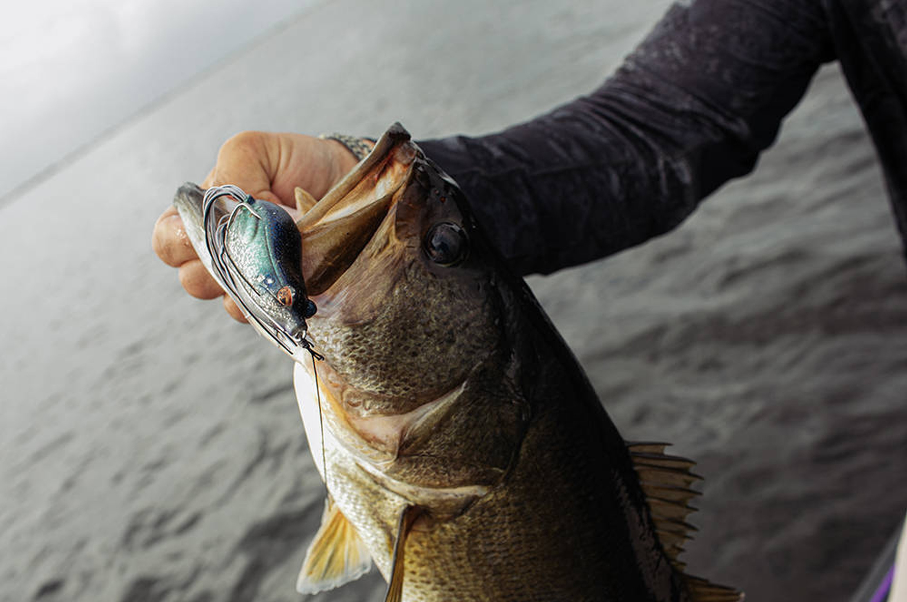 Guma Savage Gear Hop Popper Frog