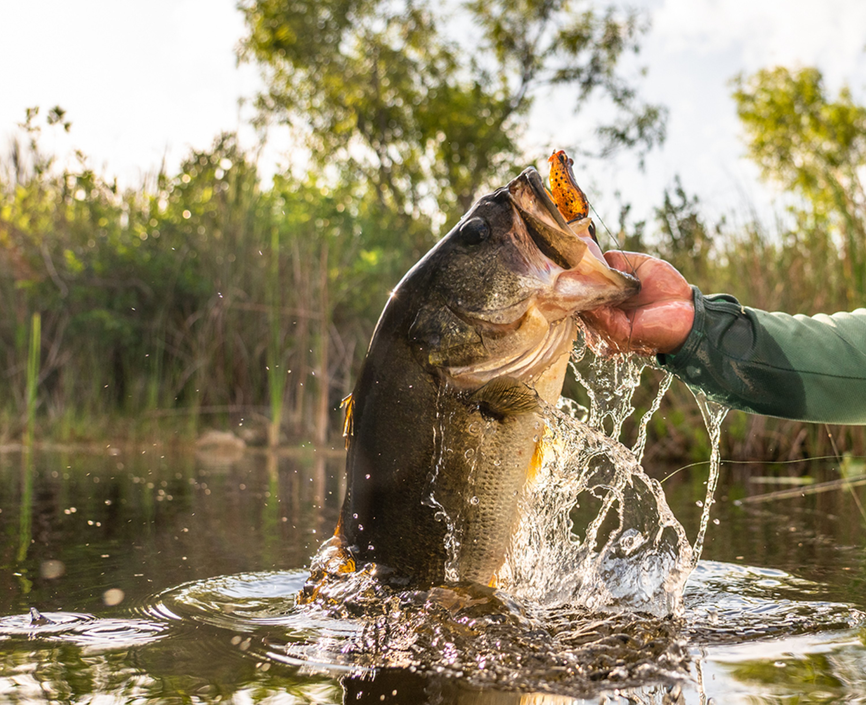 Guma Savage Gear Hop Walker Frog