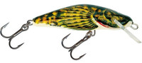 Bullhead