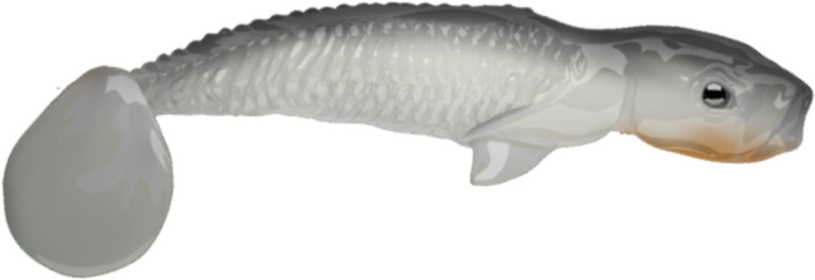 Guma spinningowa QubiLures Syrena Shad