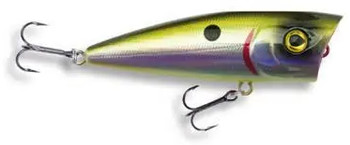Wobler Robinson Splash