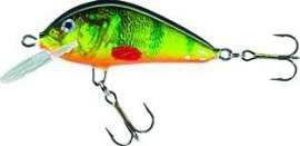 Woblery jaxon hs golbat - kolor: OM