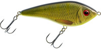 TC Roach/Perch