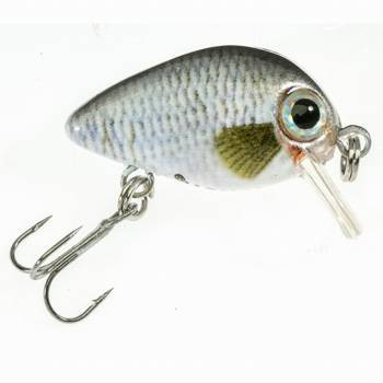 Wobler  Atract Pixel Jaxon