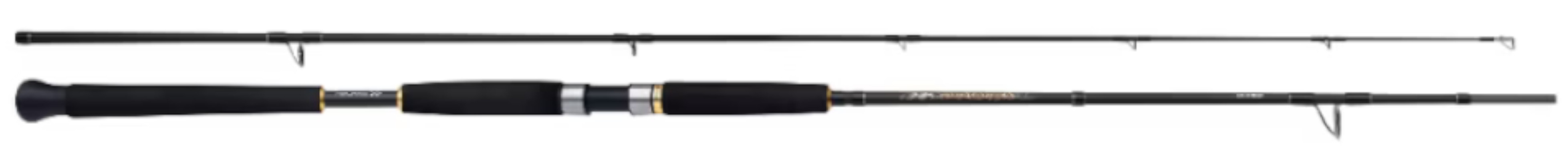 Wędka Shimano Beastmaster AX Pilk