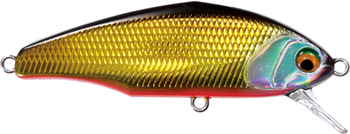 Wobler Smith D-Incite