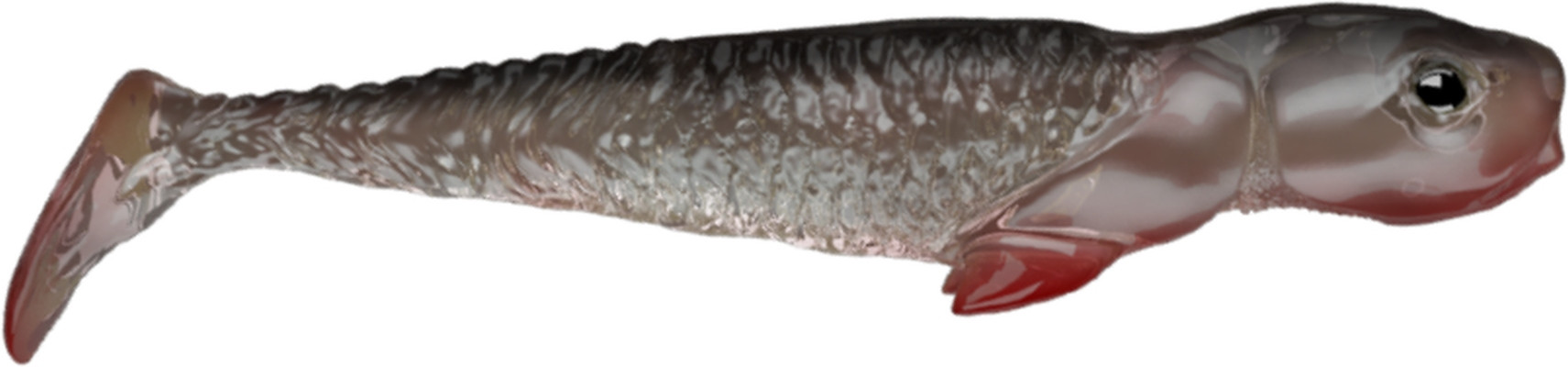 Guma spinningowa QubiLures Syrena Shad
