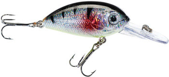 Wobler Jaxon Atract Aris