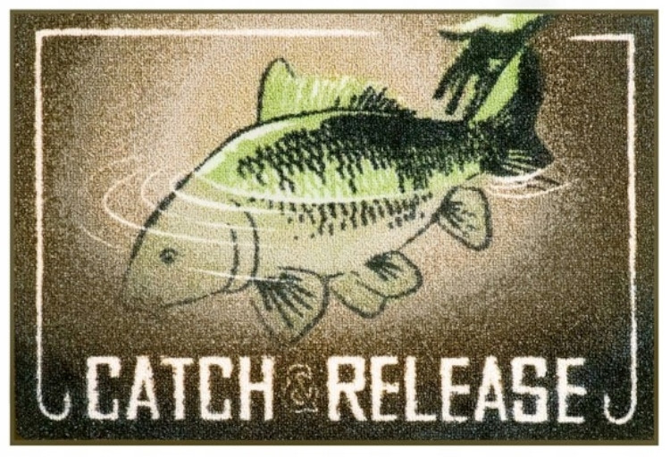 Wycieraczka Delphin CatchMe! Catch and Release
