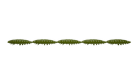 031-Olive