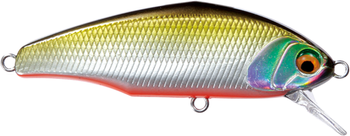 Wobler Smith D-Incite