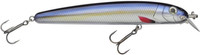 Blue Herring