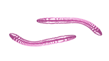 Przynęta gumowa Libra Fatty D'Worm 55 Tournament