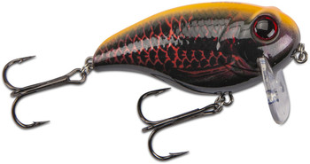 Wobler Doiyo Jodan Omote