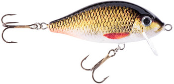 Wobler Jaxon HS Karaś SW