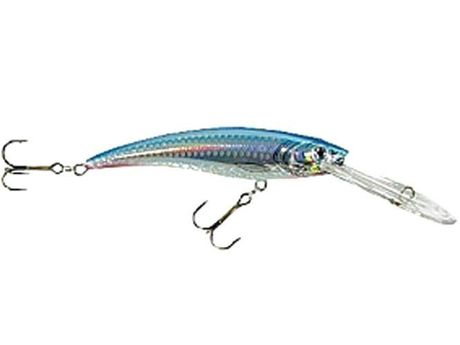 Woblery Jaxon HS Diver