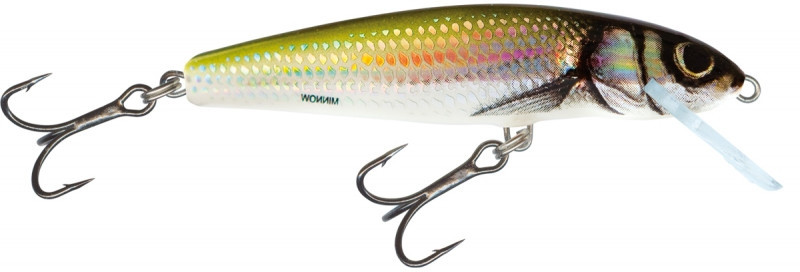 Wobler Salmo Minnow