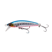 Pink Belly Sardine