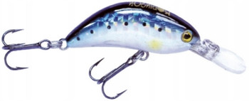 Wobler Robinson Tronx S40