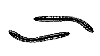 Przynęta gumowa Libra Fatty D'Worm 55 Tournament