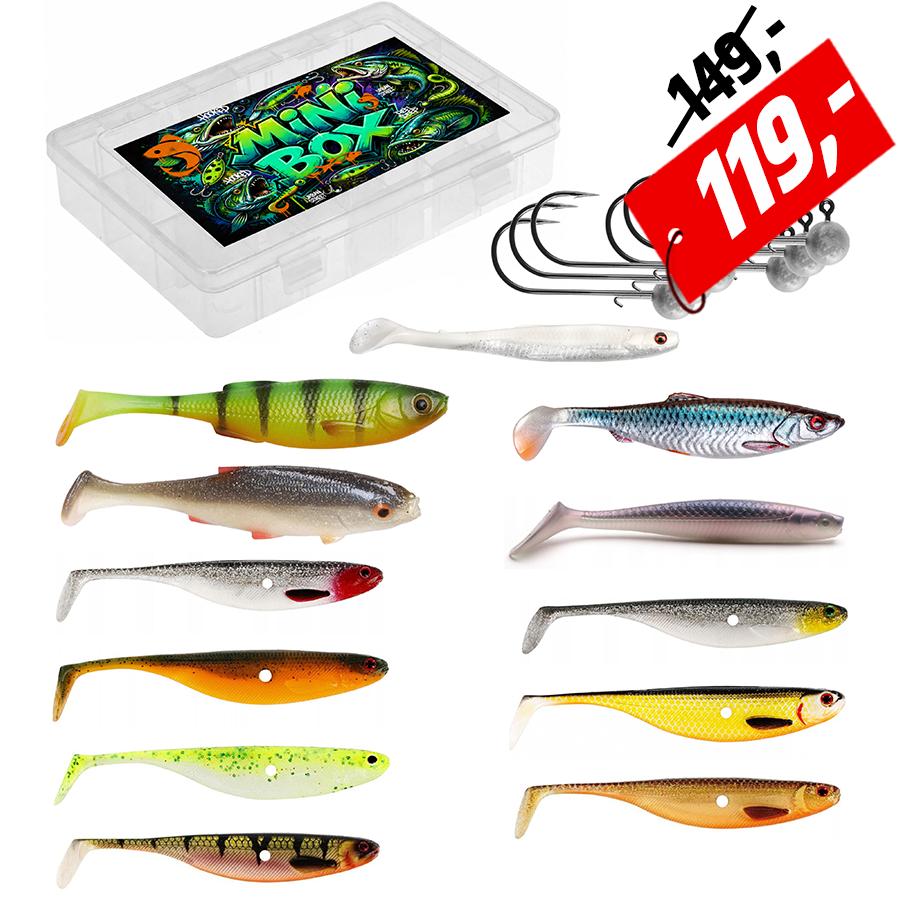 Mini BOX Zander 5
