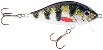 Wobler Jaxon HS Karaś SW