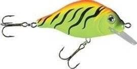 Woblery Jaxon HS Carpan