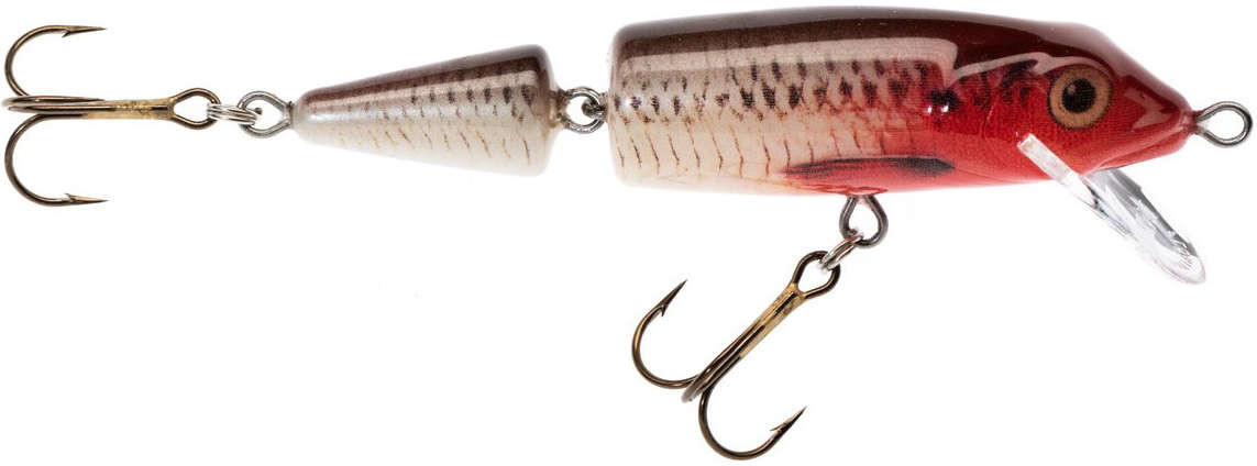 Wobler Jaxon Holo Select Horn QM