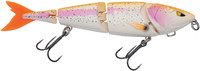 Albino Trout