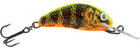 Gold Fluo Perch