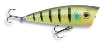 Wobler Robinson Splash