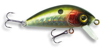 Wobler Robinson Fluppy