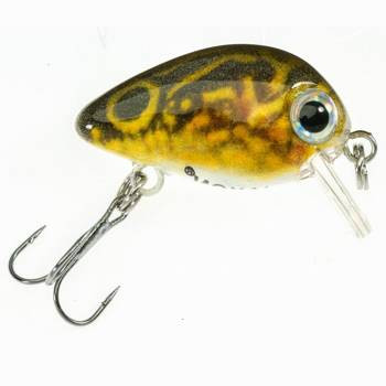 Wobler Atract Pixel Jaxon