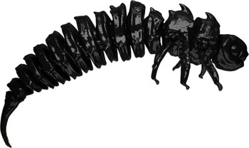 Guma spinningowa Qubi Lures Bigfatbug