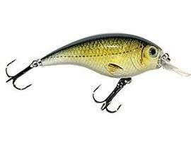 Woblery Jaxon Atract XXT-B