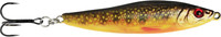 Brook Trout Fry