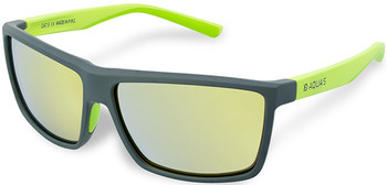 Okulary przeciwsłoneczne Delphin SG AQUAS