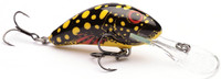 Beetle