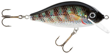 Wobler Jaxon HS Karaś