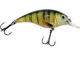 Woblery Jaxon Atract XXT-B