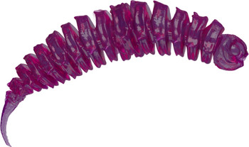 Guma spinningowa QubiLures Liszaj Bigfatsnail