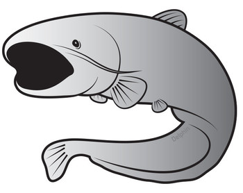 Naklejka Delphin Sumec SILVER