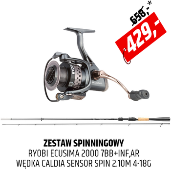 Zestaw Wędka Daiwa Caldia Sensor Spin z kołowrotkiem Ryobi Ecusima
