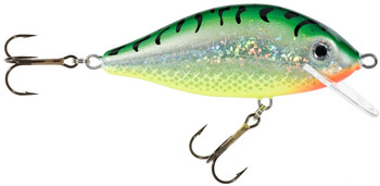 Wobler Jaxon HS Karaś