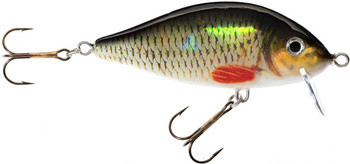 Wobler Jaxon Holo Select Karaś SW