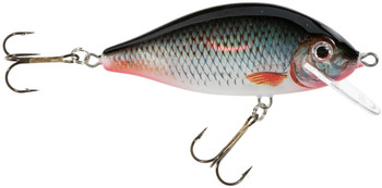 Wobler Jaxon HS Karaś