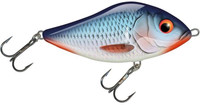 Bleeding Blue Shad