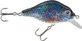 Woblery Jaxon HS Carpan