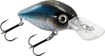 Wobler Kamatsu Rocky River